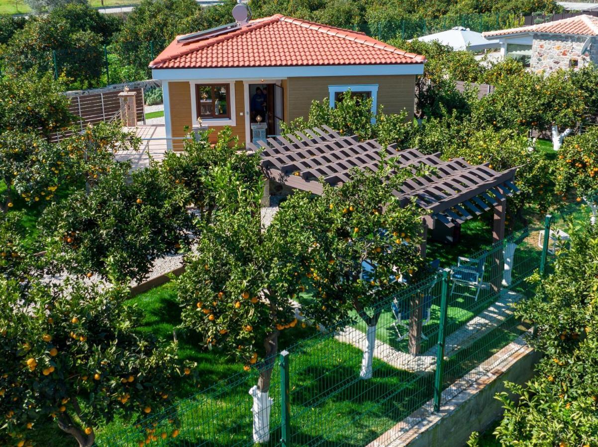 Desa Green Homes Epidaurus Exteriör bild