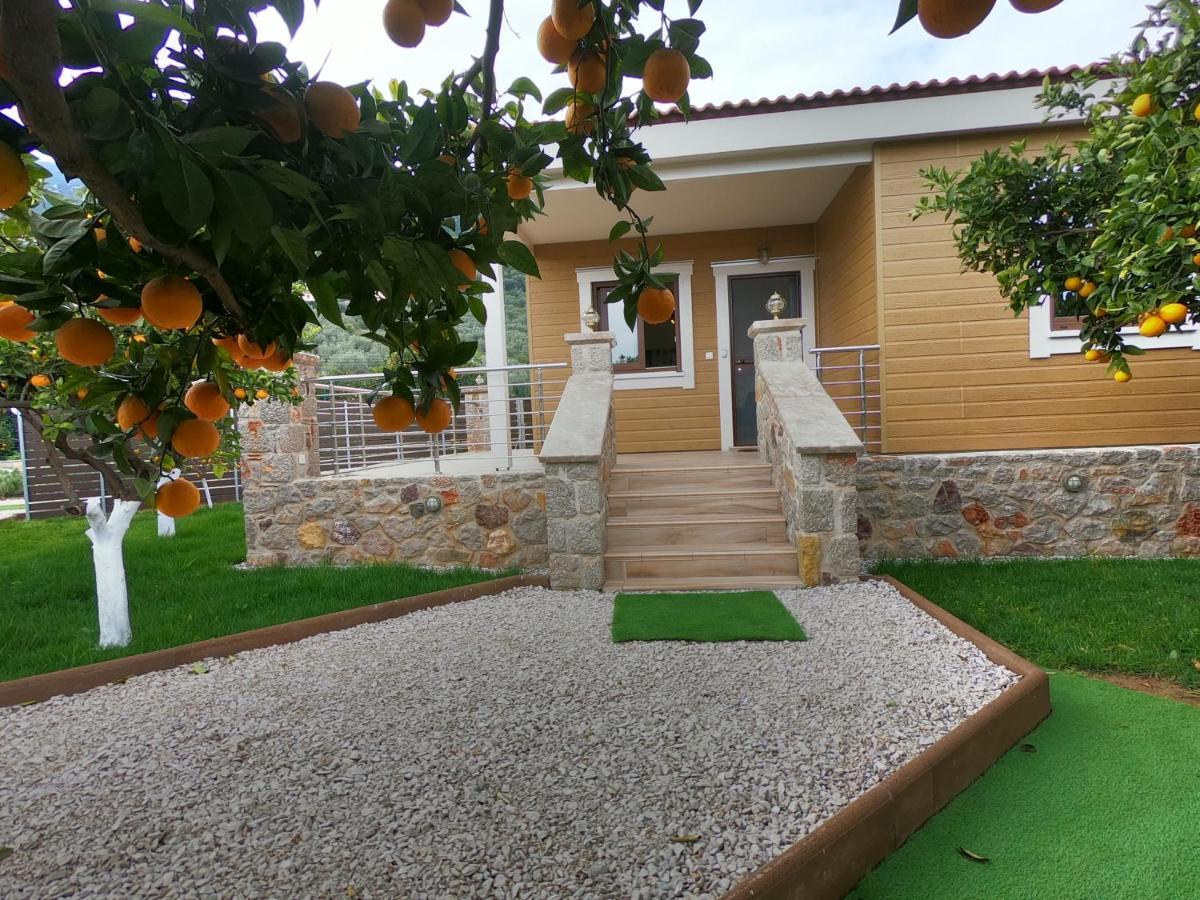 Desa Green Homes Epidaurus Exteriör bild